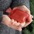 Hot Pack Bottle – Handwarmer